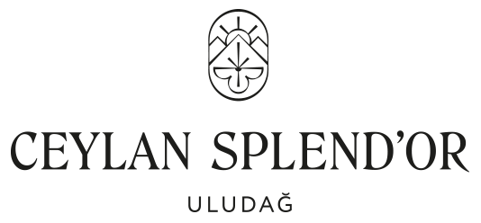 ceylan-splendor-logo